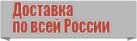 Толстовка бомбер